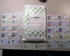 Best States to Get Fake Ids from